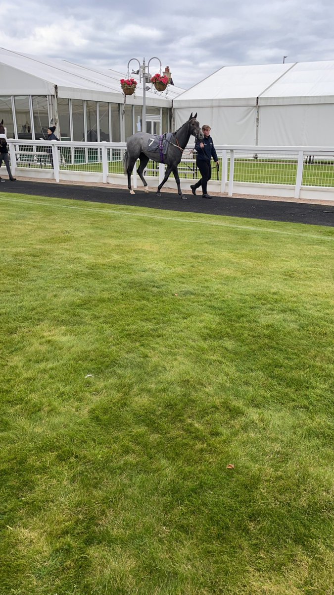 Always a good day out at the races when your an owner 🐎