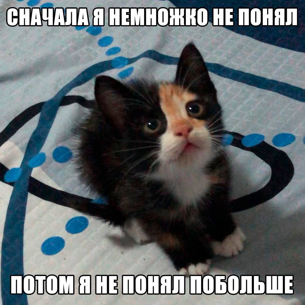 🐸жабья принцесса👑 (@kxiq7u7oc8nsgnc) on Twitter photo 