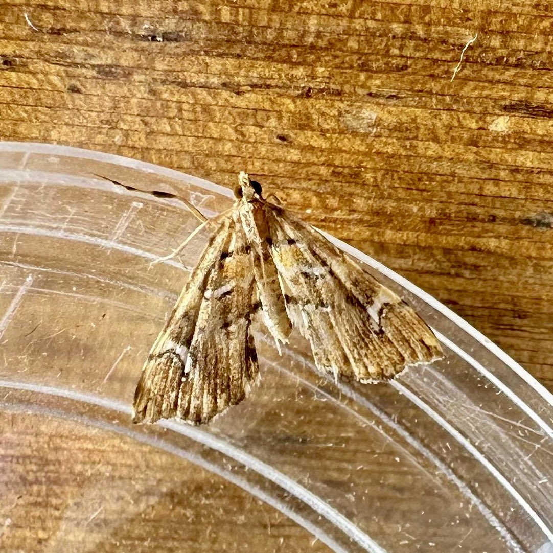 Glen Maddison tweet media