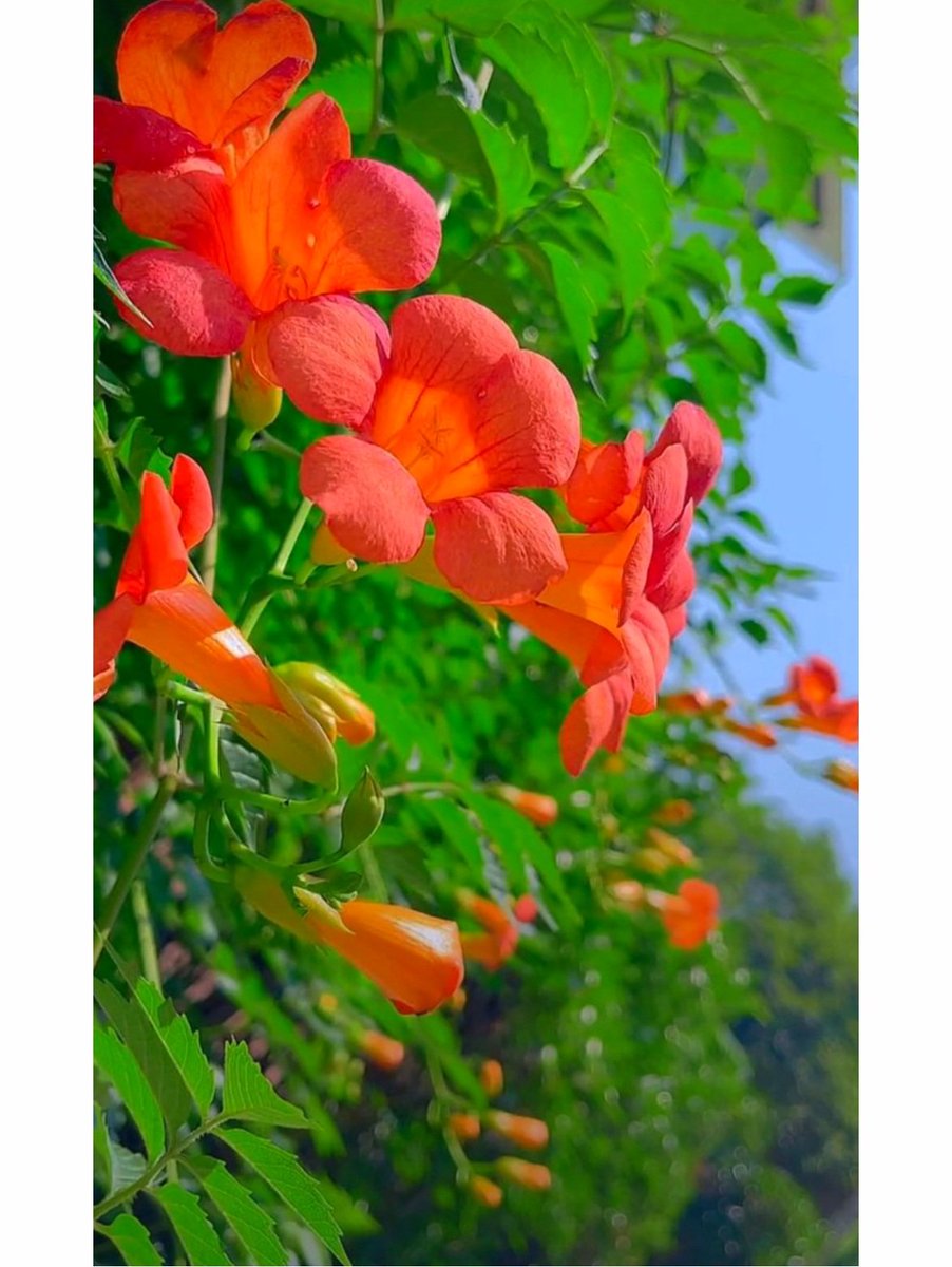 لِکھ دیا جاتا ہے مُقدر میں
عشق ___ عادتاً نہیں ہوتا....
Good night