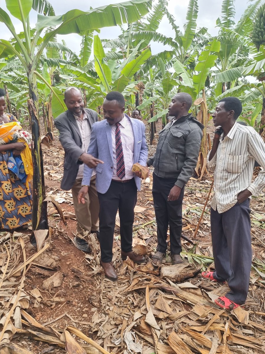 Omujugujugu1's tweet image. My heart is filled with extreme joy and happiness.
Today, I bought back the land and banana plantation that was sold while educating me.
Land can really appreciate in value!
My friend, if you are not jealous, please congratulate me.
Takibir Takibir Takibir..... Allah Akbar