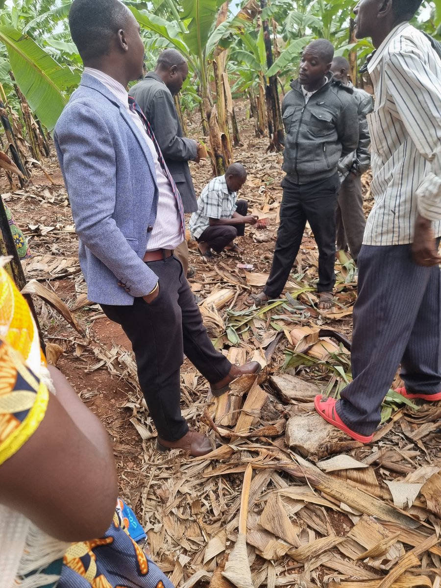 Omujugujugu1's tweet image. My heart is filled with extreme joy and happiness.
Today, I bought back the land and banana plantation that was sold while educating me.
Land can really appreciate in value!
My friend, if you are not jealous, please congratulate me.
Takibir Takibir Takibir..... Allah Akbar