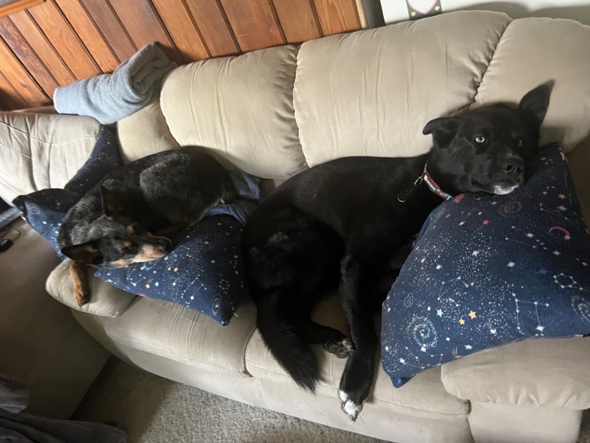 Ellen Chenoweth tweet media