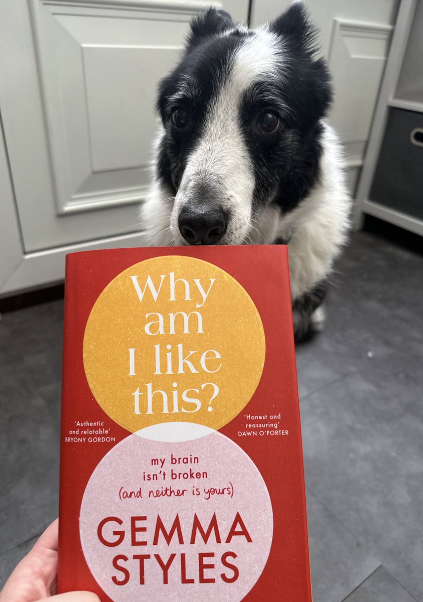 Ellice Wood (@ellicewoodslt) on Twitter photo Very excited to have this book arrive at though the post today from <a href="/WELBooks/">West End Lane Books</a> 🥳 <a href="/GemmaAnneStyles/">Gemma Styles</a> discusses mental health, neurodivergence and the impact of modern life on our brains 🤓 (Jasper was also interested in checking it out 🐶) Very excited to have this book arrive at though the post today from <a href="/WELBooks/">West End Lane Books</a> 🥳 <a href="/GemmaAnneStyles/">Gemma Styles</a> discusses mental health, neurodivergence and the impact of modern life on our brains 🤓 (Jasper was also interested in checking it out 🐶)