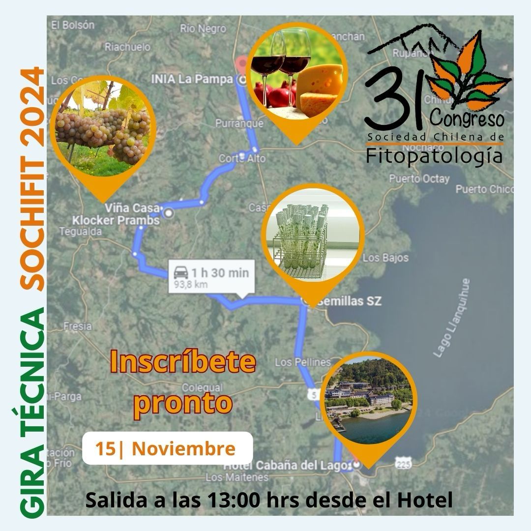Sochifit tweet media