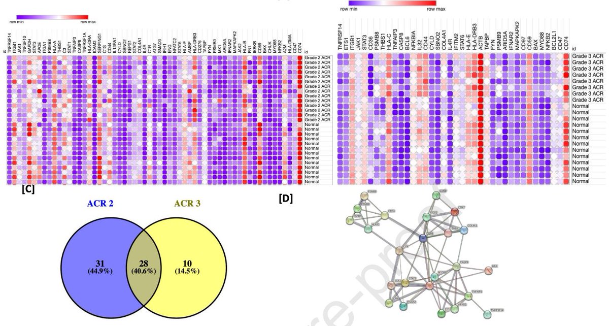 Thrilled to see the release of this work on gene expression-based molecular scoring of pancreas transplant rejection in <a href="/amjtransplant/">American Journal of Transplantation</a>! Congratulations to the <a href="/UCSFSurgery/">UCSF Surgery</a> <a href="/UCSFTransplant/">UCSF Transplant</a> team for their hard work and dedication in bringing this to fruition bit.ly/3ZOXwKm