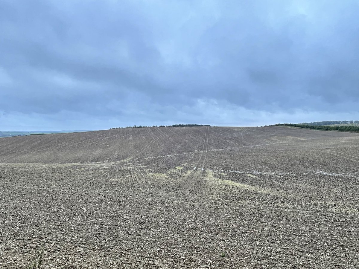 Not seen waterlogged rendzinas on the chalk before!