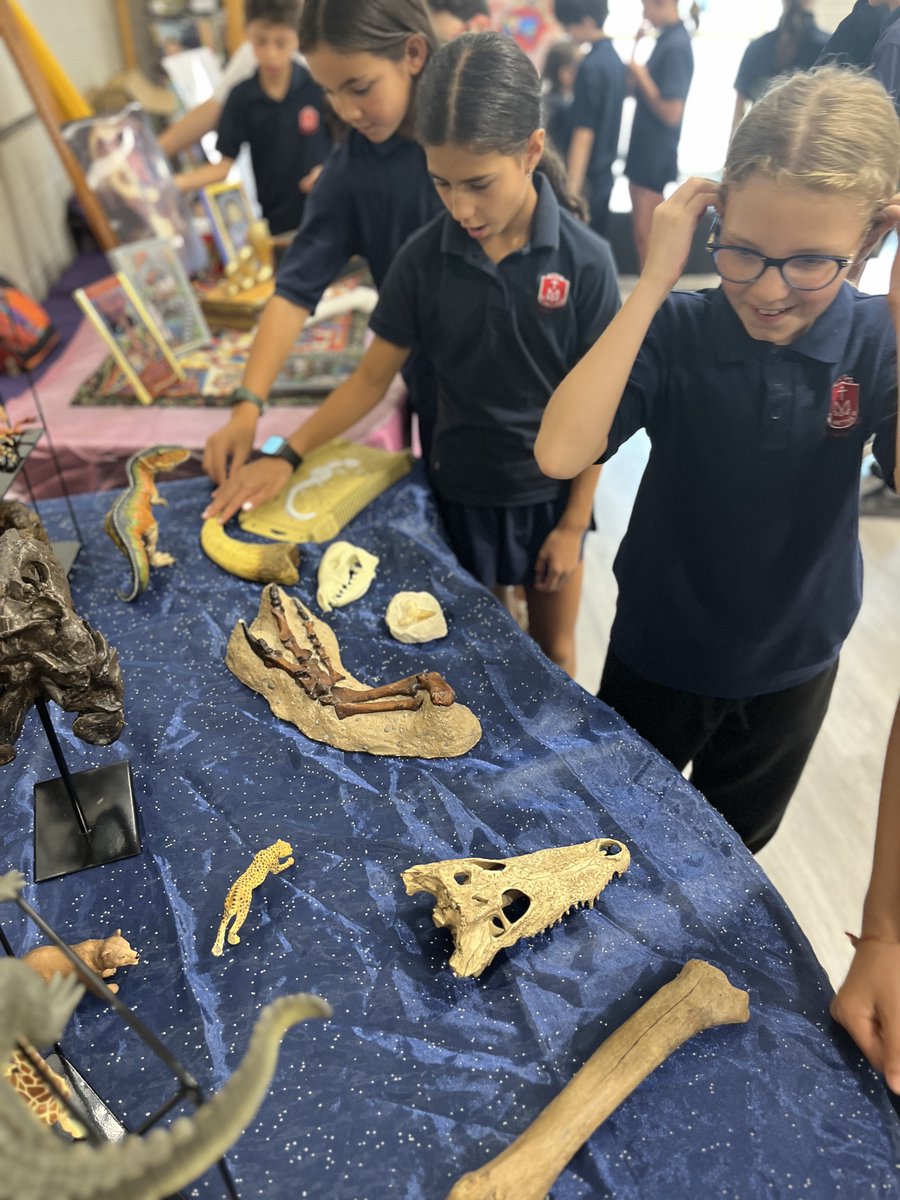 stmattoakville's tweet photo. A visit from Author and Paleontologist Kara "Bones" Bartley. Students from grades 1-6 were treated to a hands-on experience with the chance to handle real fossils. Our Junior students were also treated to a reading from one of Ms. Bartley's novels! @HCDSB @hcdsblibrarians https://t.co/aItWpiZKGu