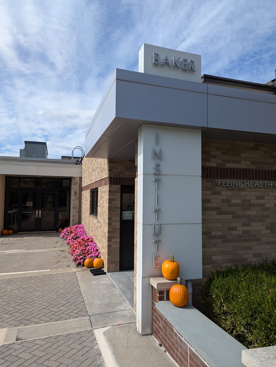 bakercornell's tweet image. It is a beautiful fall day here at the Baker Institute. 🍂🎃🔬
#HappyFall #octobervibes #cornell