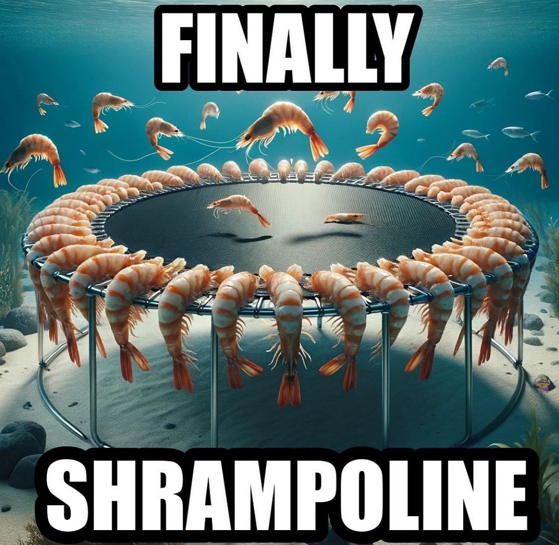 hourly_shitpost's tweet photo. ㅤ https://t.co/zn2Gu0AFMd