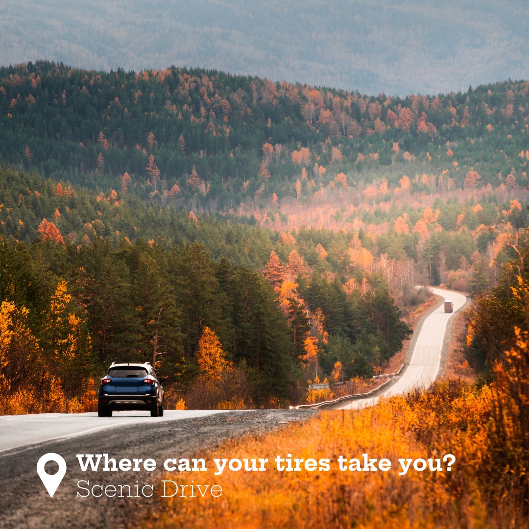 PrinxTiresUSA's tweet image. Prinx is here to give you the perfect Fall Bucket list 🍂 Gear up with Prinx for a season of smooth, reliable adventures. Wherever the road takes you, our high-performance tires are ready.

#prinxtiresusa #practicalperformance #bestvaluetires #falldriving #fallbucketlist