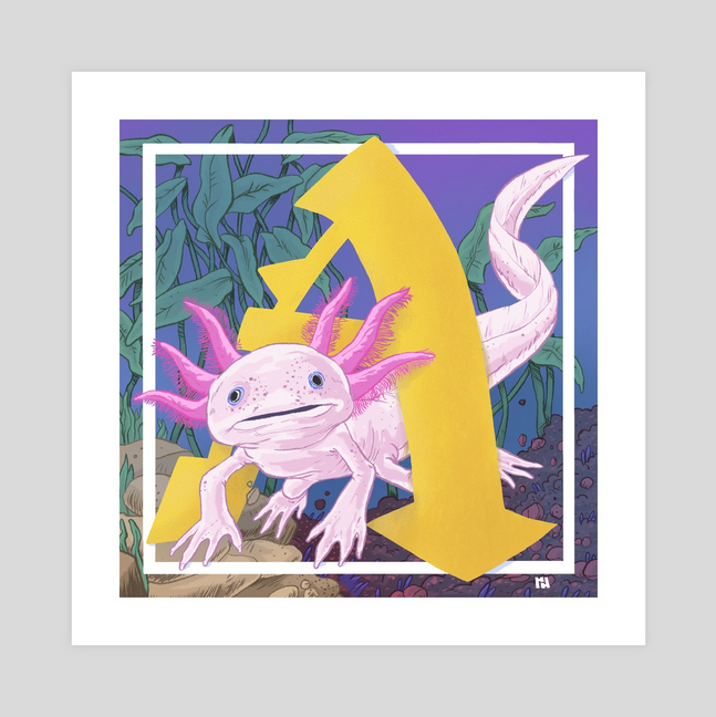 Ryan Drew tweet media