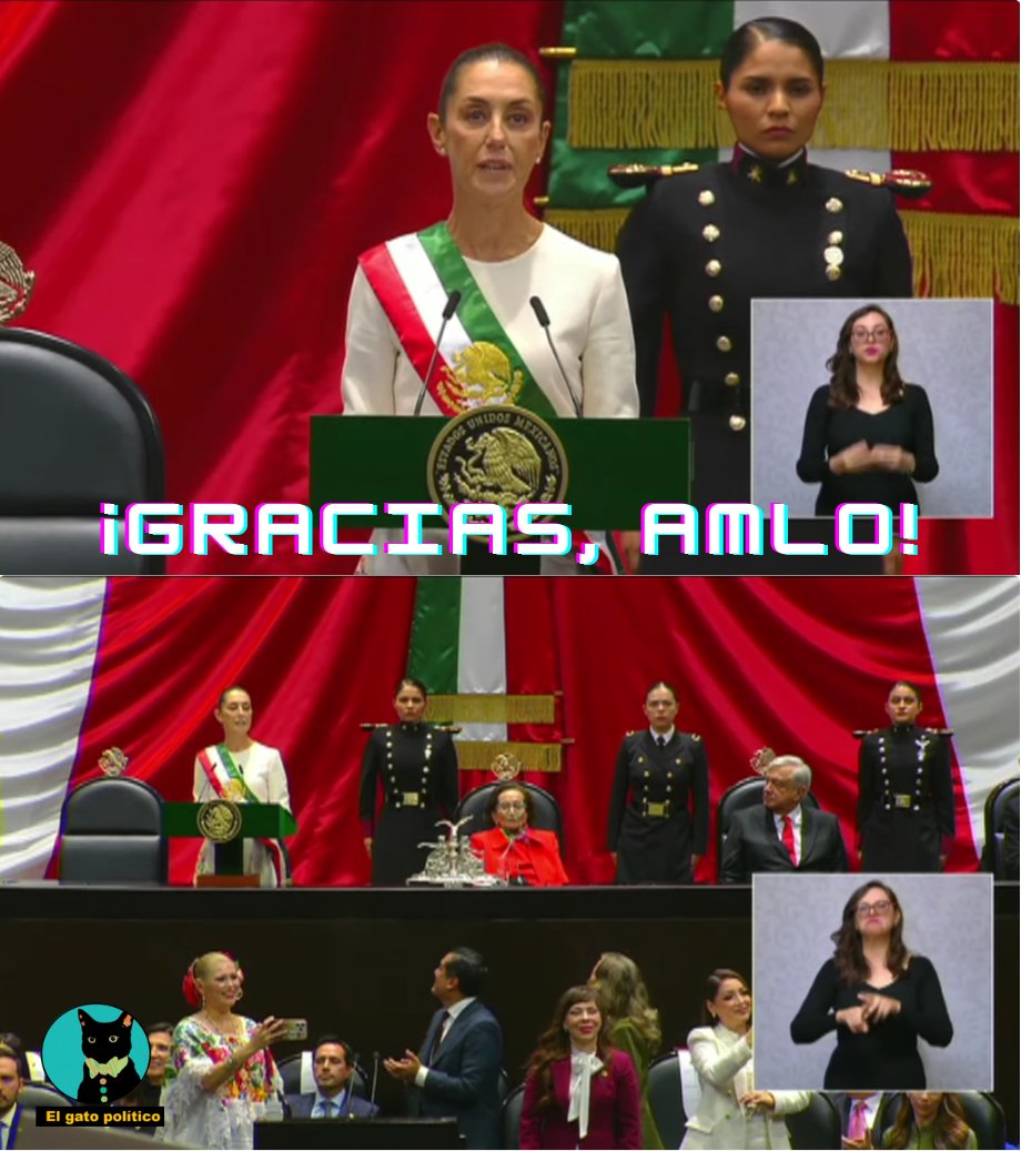El gato político tweet media