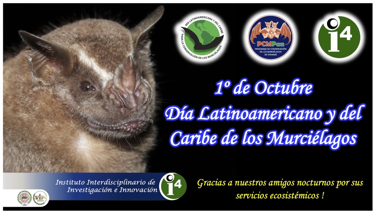 Desde el <a href="/i4UNACHI/">i4</a> en <a href="/UNACHIpanama/">UNACHI</a> <a href="/pacyt_unachi/">PACYT UNACHI</a> nos unimos a la celebración del día Latinoamericano de los Murciélagos; establecido desde 2009 por la <a href="/RelcomEdu/">RELCOM</a> -En estos organismos podemos apreciar el tercer evento evolutivo del vuelo (insectos, aves y murciélagos) <a href="/senacyt/">Senacyt Panamá</a>