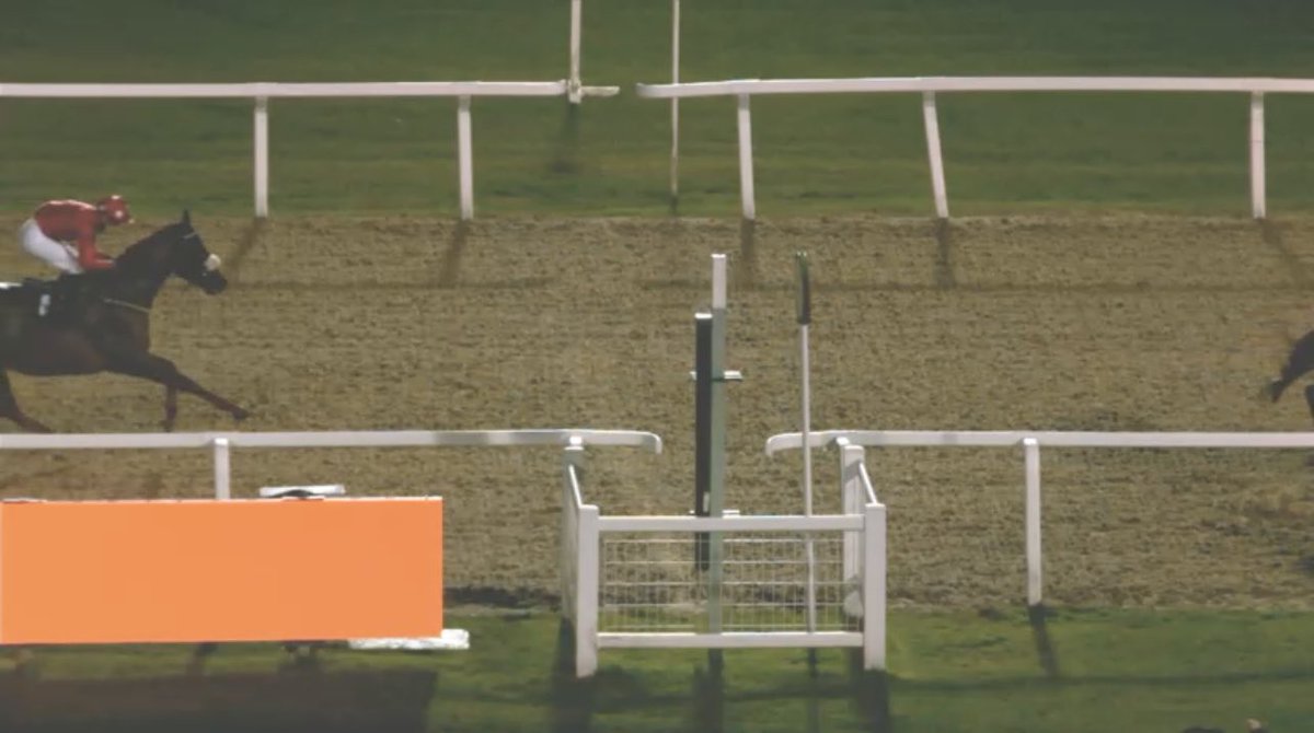 the racing newsletter tweet media