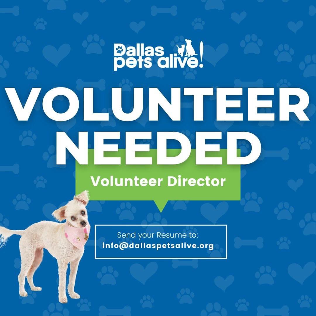 We’re searching for a dedicated Volunteer Director to help lead our amazing team of animal lovers! If you’re ready to make a difference in the lives of pets in need, this could be the perfect role for you. 💙 Apply today and join our mission: volunteermatch.org/search/opp3255…