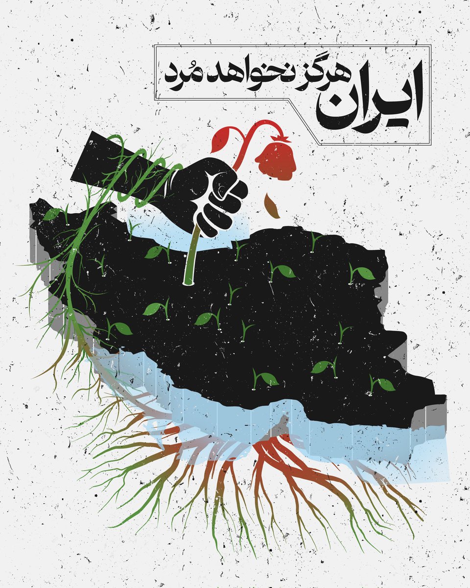 Hossein Ronaghi tweet media