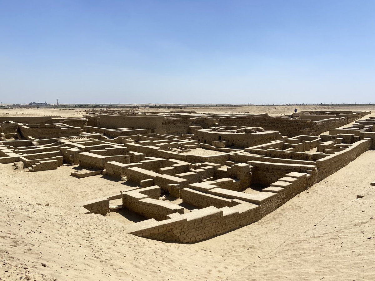 chrisnaunton's tweet photo. Tebtunis / Umm el-Baragat. This was yet another settlement founded under Amenemhat III with a cult of a local form of Sobek - called Soknebtunis in Ptolemaic and Roman times - at its centre. Full post: https://t.co/K0sAlVfngo https://t.co/S6aR2CIr8j