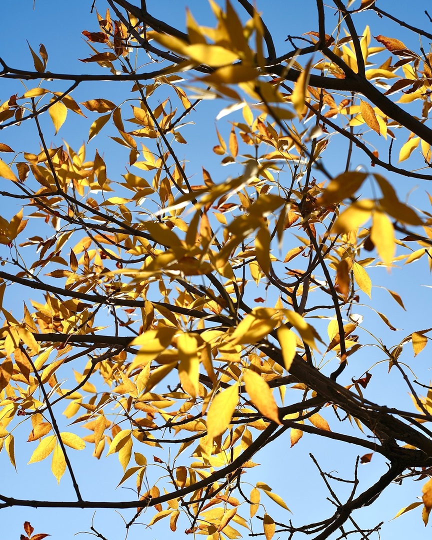 WhitfieldJ's tweet photo. This weekend in Estes Park, CO. 🍂 
-
Only the crispiest of fresh air :)
#winteriscoming @jessy_whitfield23 https://t.co/msx6nlI4Mt