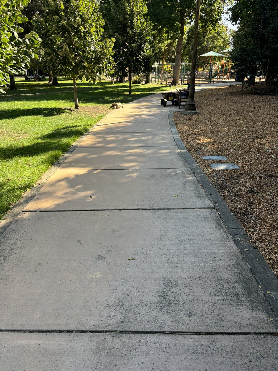 ratatouille fan account tweet media