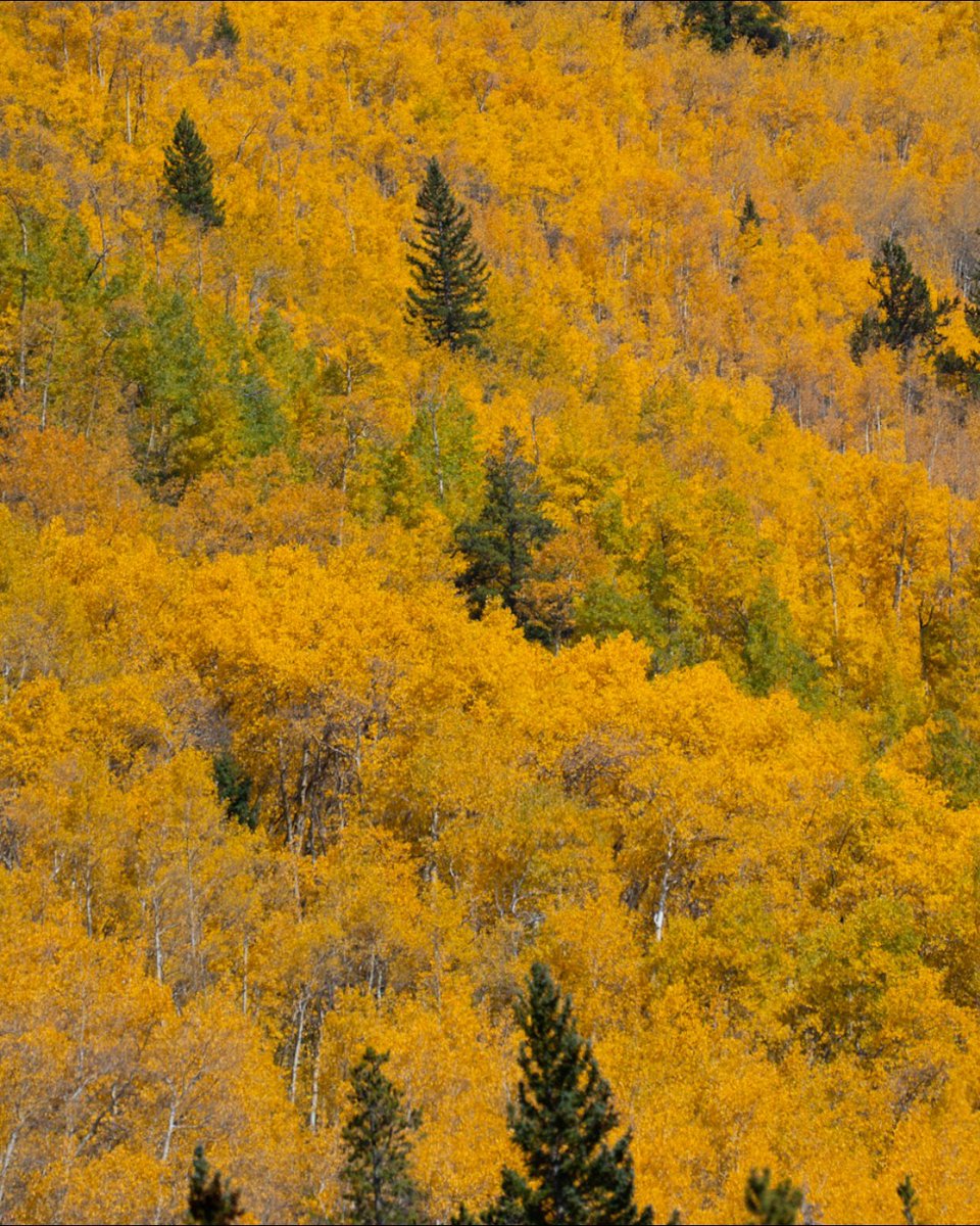 Keystone Resort tweet media