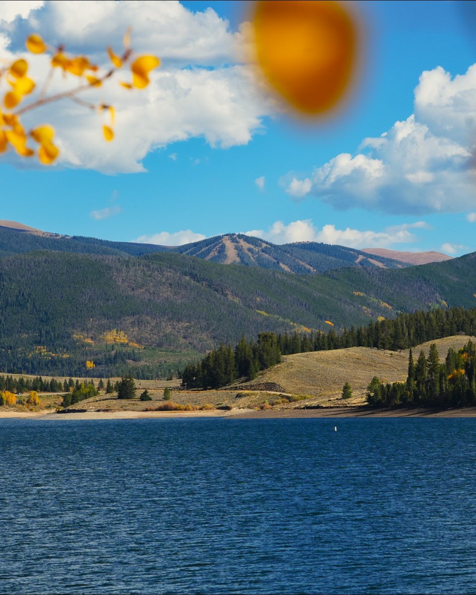 Hate to see them go, but love to watch them leaf! Our autumn colors have peaked, which can only mean one thing: Winter is right around the corner 👀 
 
🍂 -&gt; ❄️