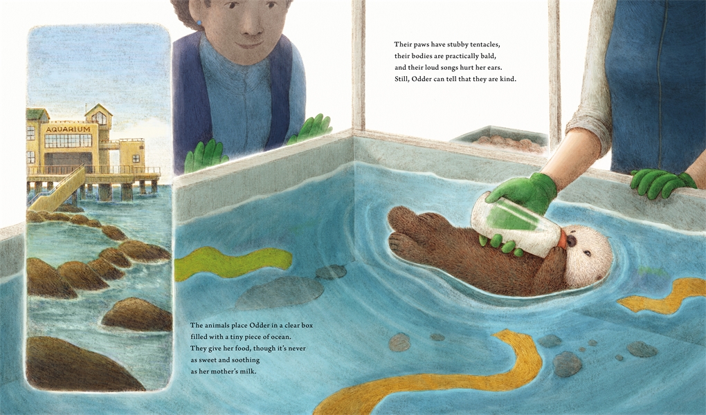Katherine Applegate (kaaauthor.bsky.social) (@kaaauthor) on Twitter photo Also sharing a couple of Charles's interior illustrations, because how could I resist? <a href="/minitreehouse/">Charles Santoso</a> 🩵🩵 Also sharing a couple of Charles's interior illustrations, because how could I resist? <a href="/minitreehouse/">Charles Santoso</a> 🩵🩵