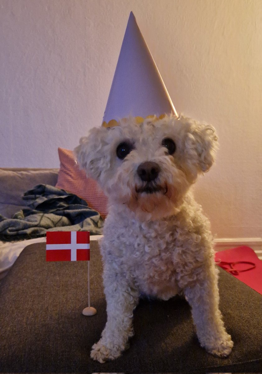 Rasmus Pazdecki tweet media