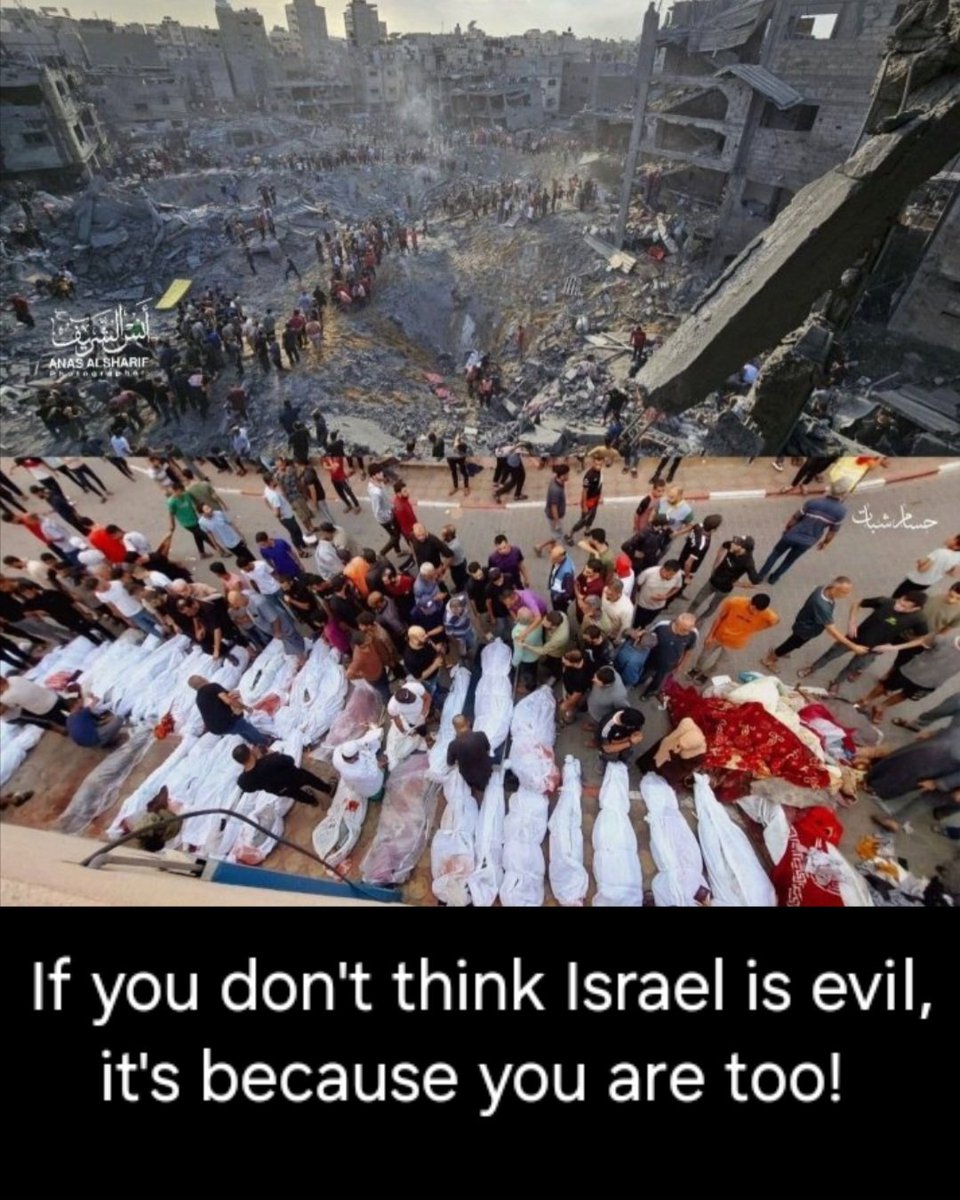 Saman ❤️🖤🤍💚 tweet media