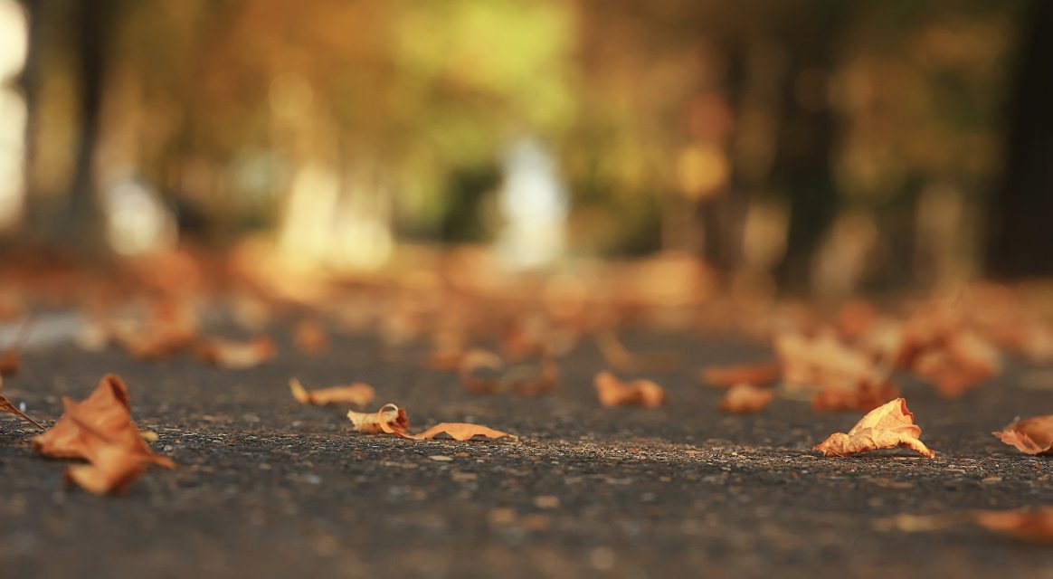 bubblescanada's tweet photo. Start October fresh! Keep your car looking spotless this fall with regular washes. Protect your paint from falling leaves, dirt, and grime. #CarCare #FallClean https://t.co/R2fZyBjTtm