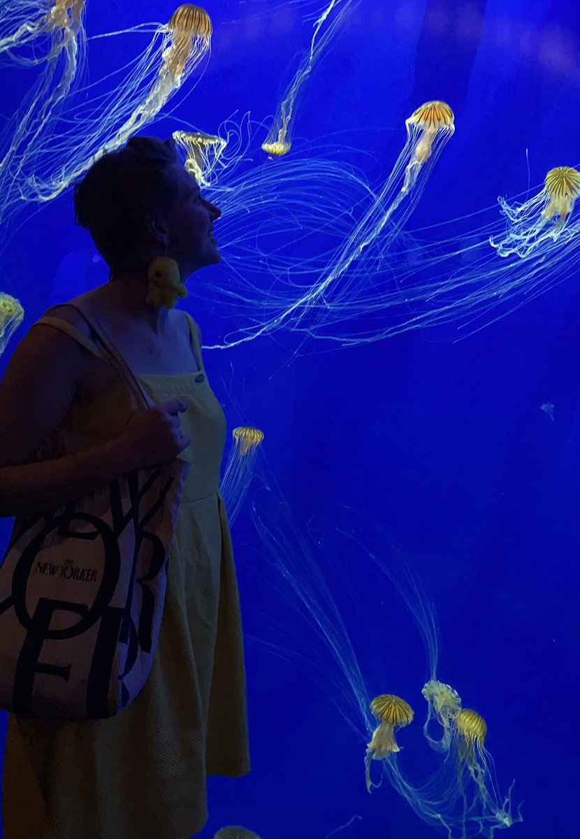 Rachelle M. Johnson tweet media