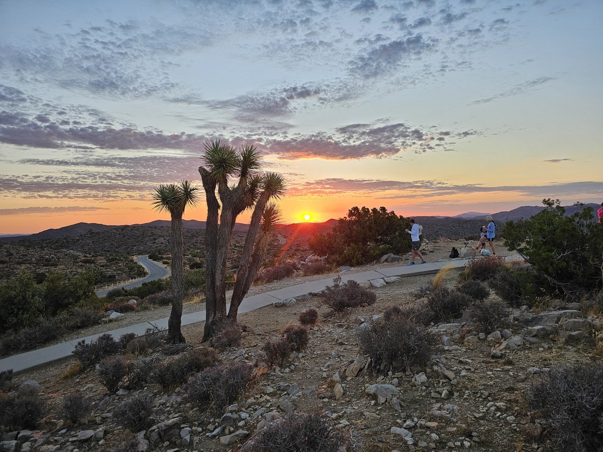 ReeIrwin's tweet photo. Sunrise at Joshua Tree. #nationalpark #joshuatree #sunrise https://t.co/0l4M2CcePM