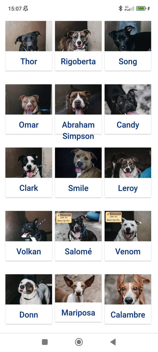 Albergue Bañaderos Gran Canaria 

102 AMORES ESPERANDO UNA OPORTUNIDAD 
102 AMIGOS DE 4 PATAS ESPIANDO UNA FAMILIA 
102 CORAZÓNES ESPERANDO UNA VIDA SIN          
        JAULA
#adopta 
#grancanaria 

SI QUIERES CONOCER O ADOPTAR,  PIDE CITA 👇 

albergueanimalesgrancanaria.com/nuestros-anima…