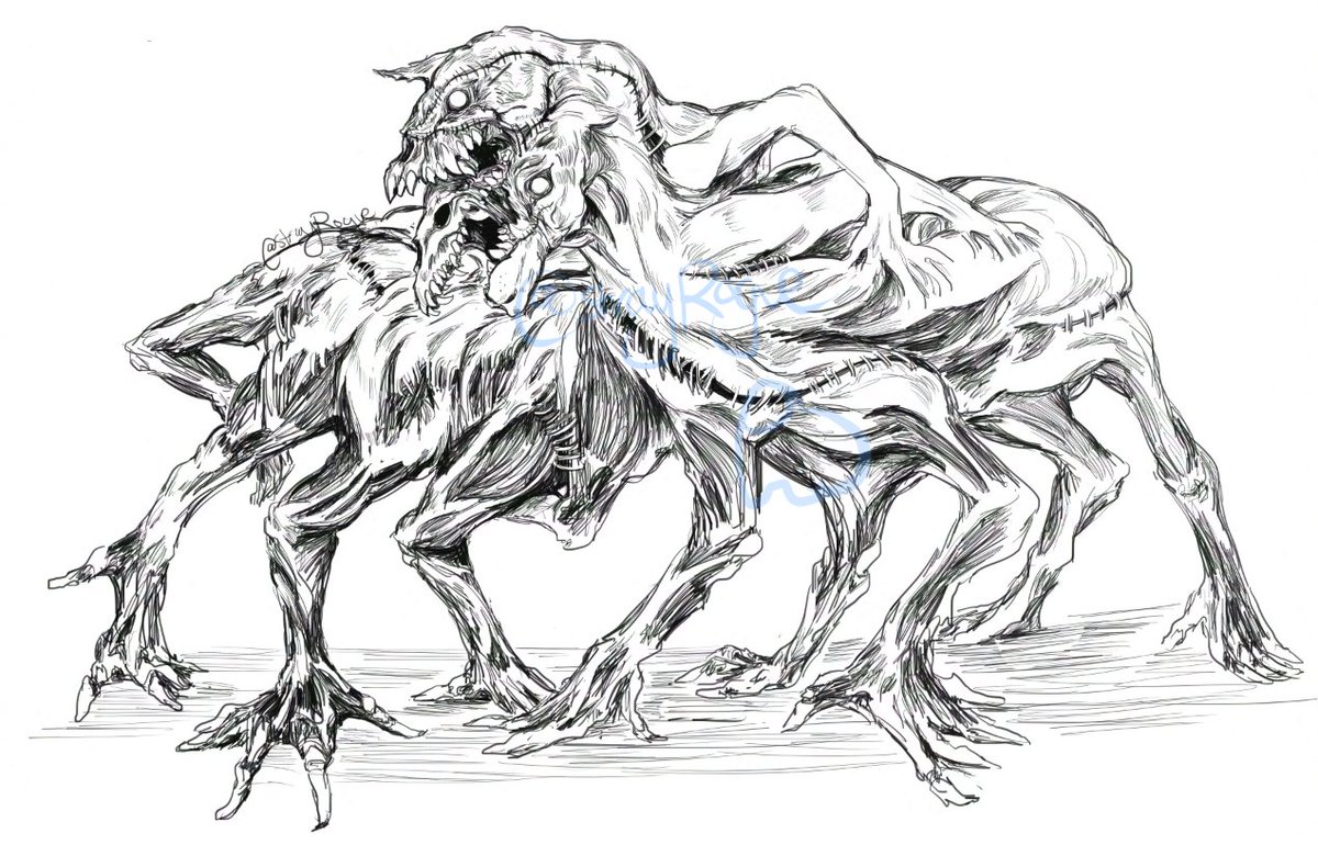 StrayRogue | Dawn trailing! tweet media