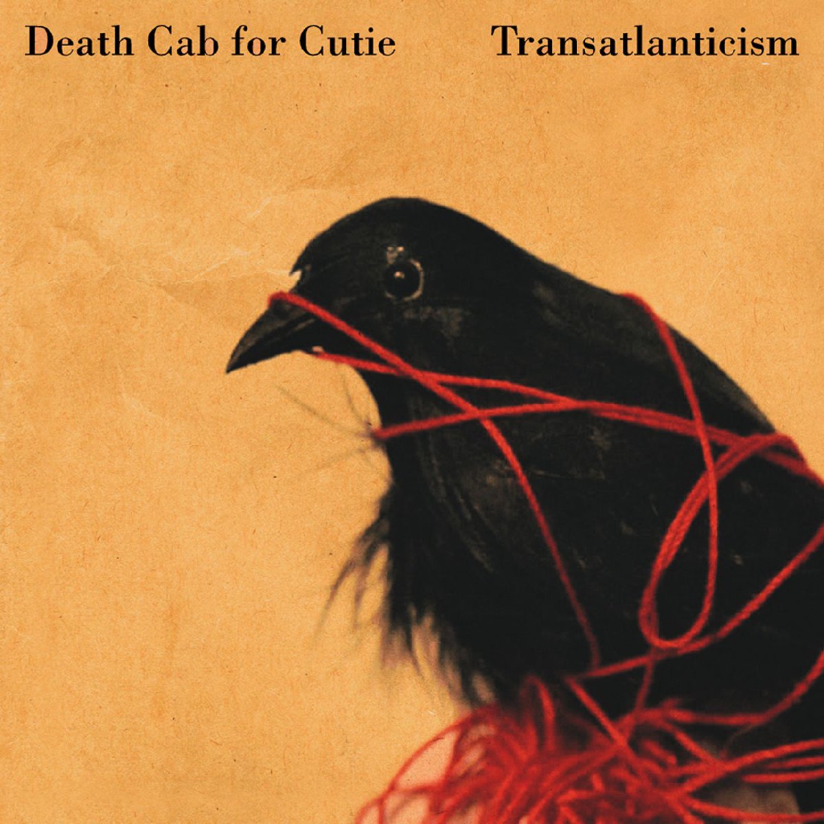 sonemic's tweet image. On this date in 2003, Death Cab for Cutie (@dcfc) - 'Transatlanticism' was released.

📈 #43 for 2003, #2,972 overall

rateyourmusic.com/release/album/…