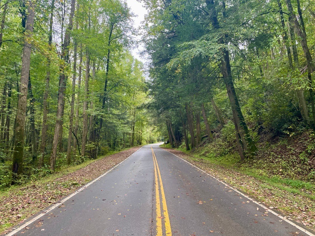 News Release—The NPS will reopen US 441/Newfound Gap Road by 8 a.m. tomorrow (Wednesday) to allow for access between TN and NC communities.

Once US 441 reopens, all major roads and trails on the TN-side of park are open.

Full release: go.nps.gov/1raqfg