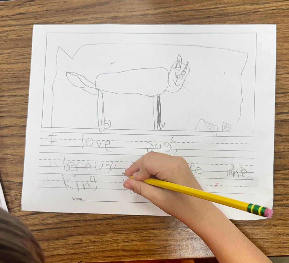 First grade students at Loveland Primary School in Loveland, OH were hard at work during Being a Writer last week! Inspired by their mentor text, they wrote sentences about animals they loved. #beingawriter <a href="/CollabClassroom/">Collab Classroom</a>
