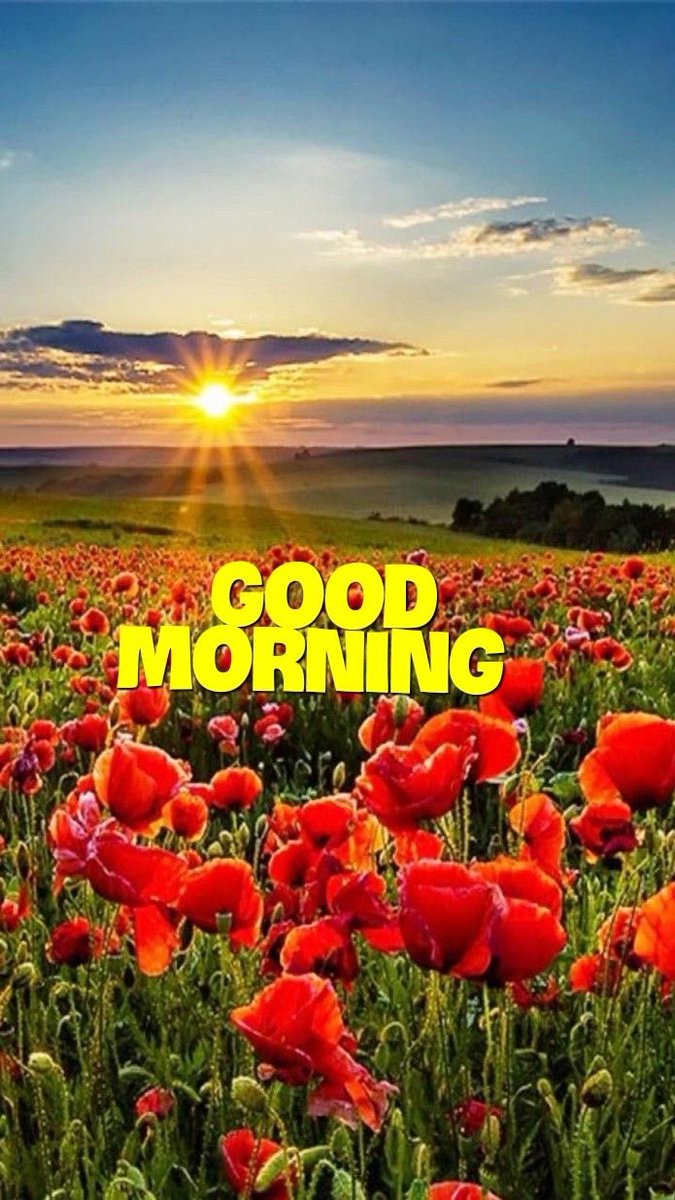 Motivation tweet media