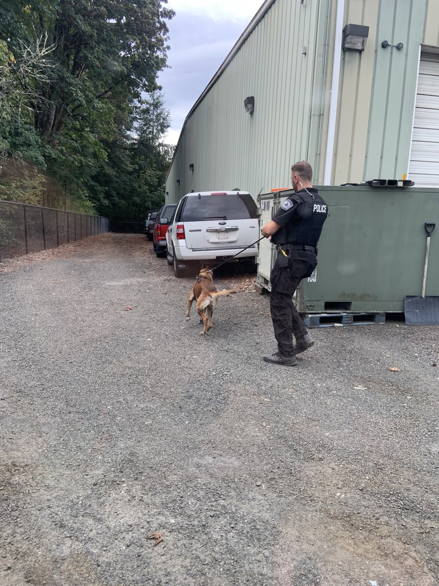 WaStateDES's tweet photo. Bringing together resources and expertise, we worked with the Tumwater Police Department (TPD) to improve security measures for our community! Pictured are DES' Surplus Operations' Matt Domenech, TPD's Officer Grimmett, and K-9 partner Thor. 🐾 #K9Training #TumwaterWA #Community https://t.co/eTkWNVZ24V