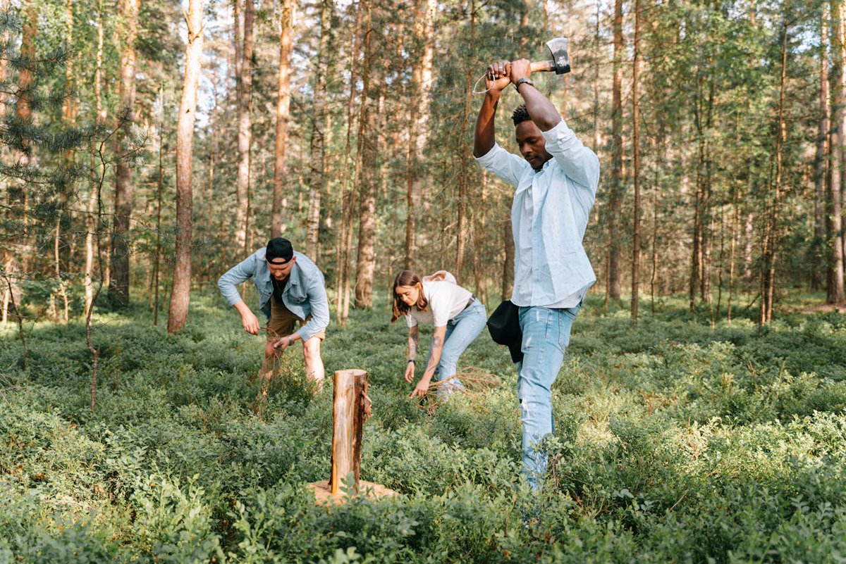 Bugoutsurvival9's tweet image. Ready to explore nature's grocery store? Learn to identify wild edibles like berries, mushrooms, and plants! Just be sure what's safe—nature can be tricky!

bugoutsurvivalcenter.com

#ForagingFun #Nature #Explore #WildEdibles #Berries #Mushrooms #Plants #SafetyFirst #Adventure