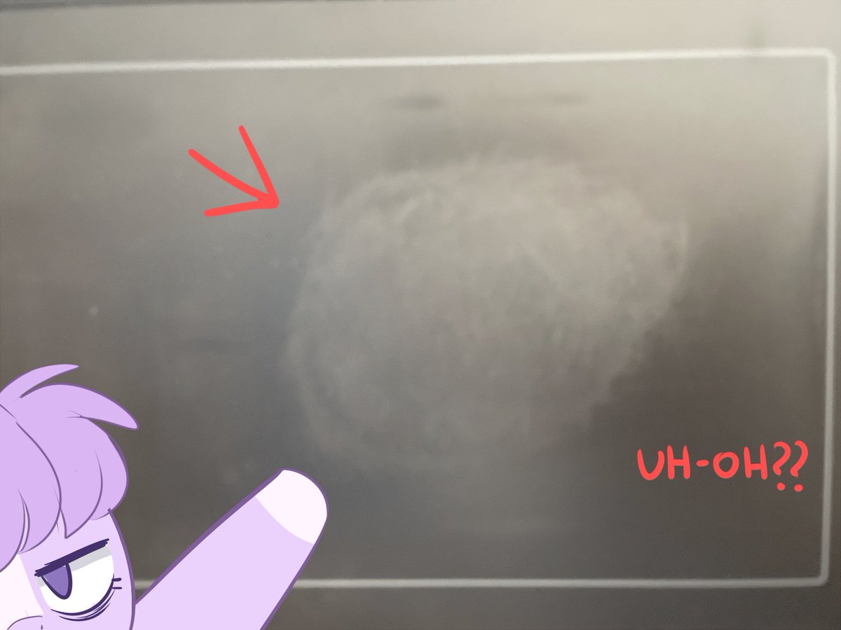 Higgly ❄️ tweet media