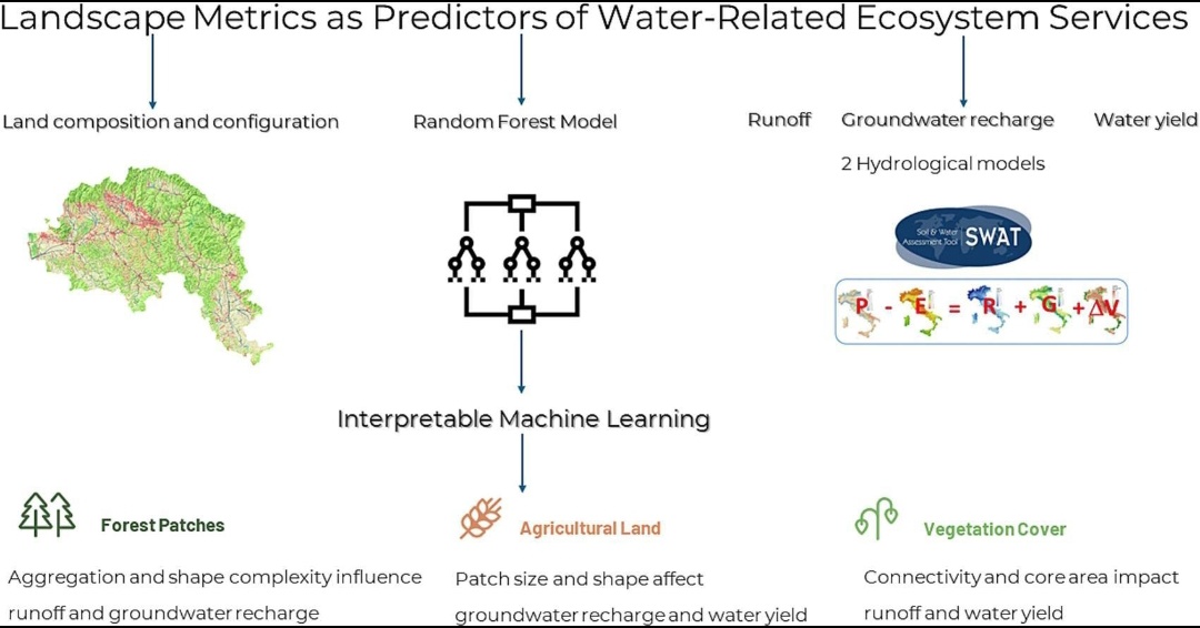 Waterscapeslab's tweet photo. 🌍 Insights from our latest research on the #Arno River Basin in Italy!  We explored the impact of landscape metrics on water-related
#ecosystemservices like runoff, groundwater recharge, and water yield. 🌊

https://t.co/R4jdQpRfYH…

 #WaterEnergyFoodNexus  #Hydrology https://t.co/mKoCyzaXjw