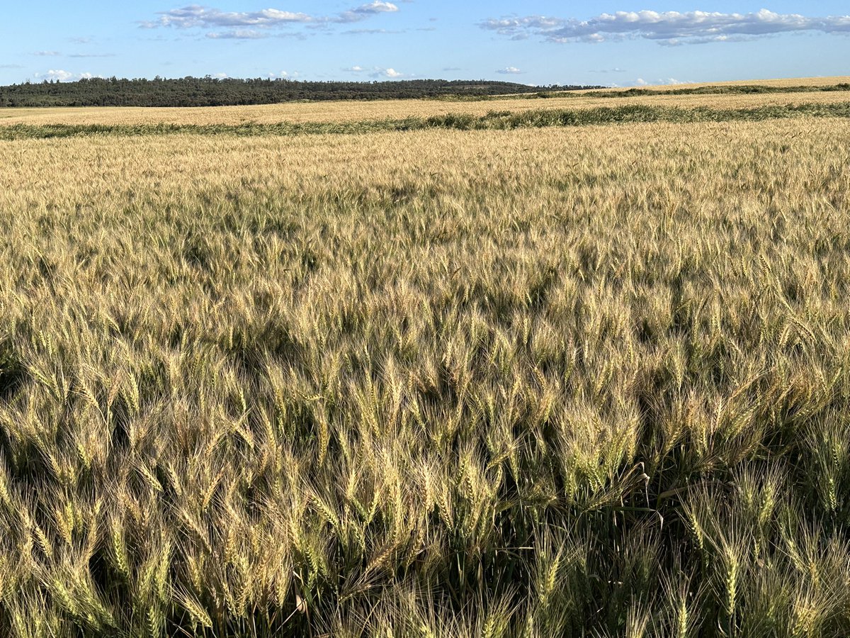 FarmSimple by CroppaCo tweet media