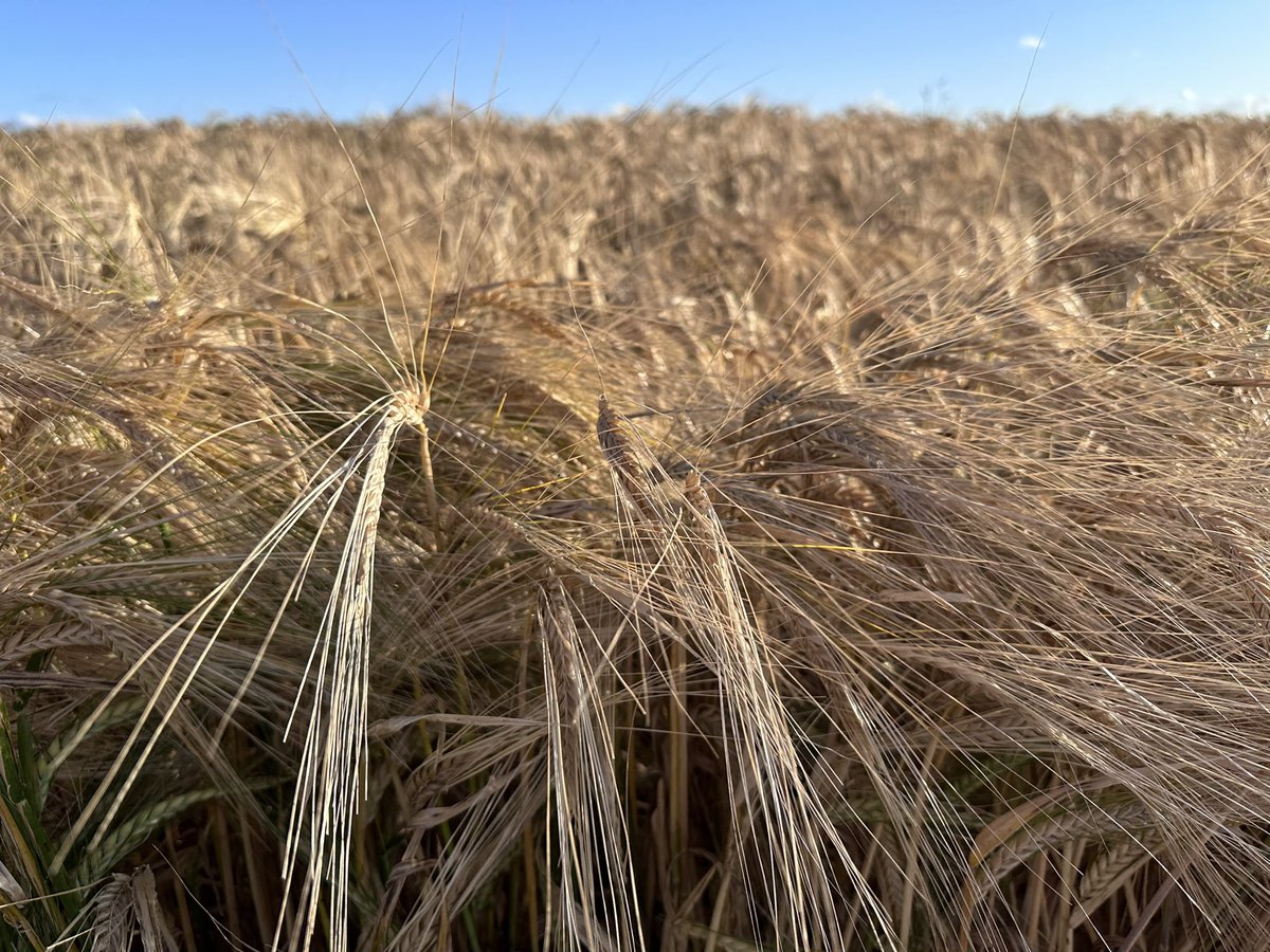 FarmSimple by CroppaCo tweet media