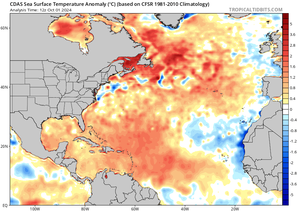 Kieran Bhatia tweet media