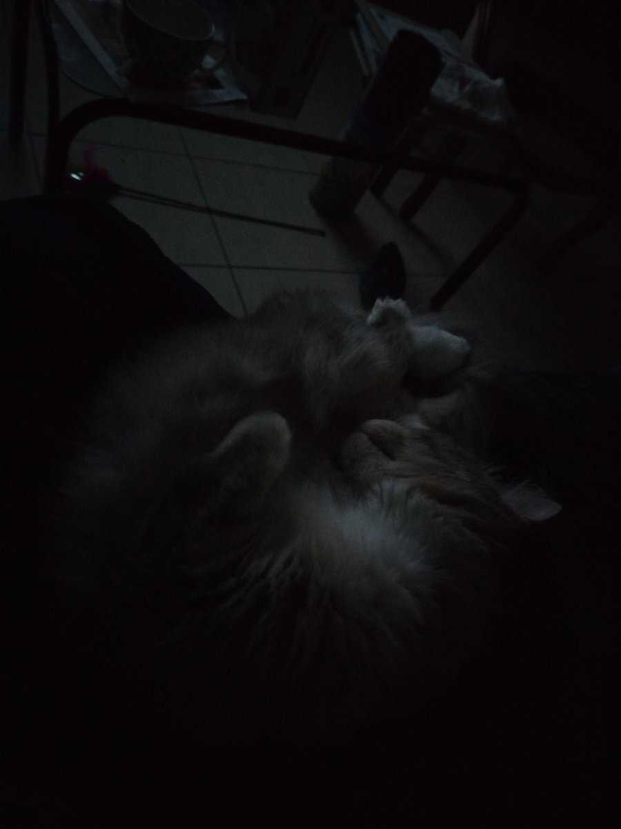 WinryRockbellu's tweet image. La pose est confort a priori