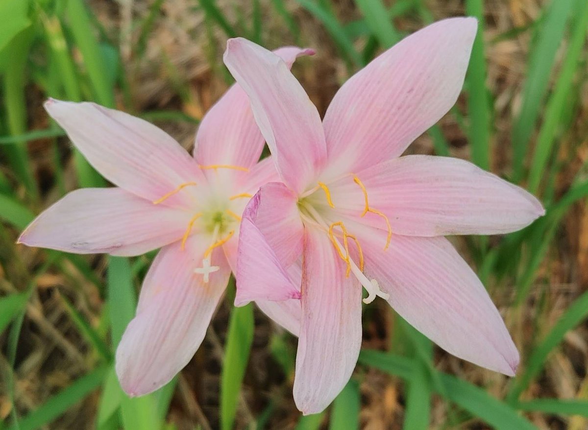 おはようございます🤗

昨日は帰宅後
バタン…疲れきって
寝てました💧

夜リプ返します🙏

今日は雨☔

頭痛が💥
熱中症ぽいな…はぁ

これから用事で福岡へ❗
ぼちぼちやっていきます🙋

天神コア❗
懐かしいな🎵

本日もよろしくお願いします🤗

#61002おは戦🌊yz

素敵な１日を🌈

頭が痛い💧