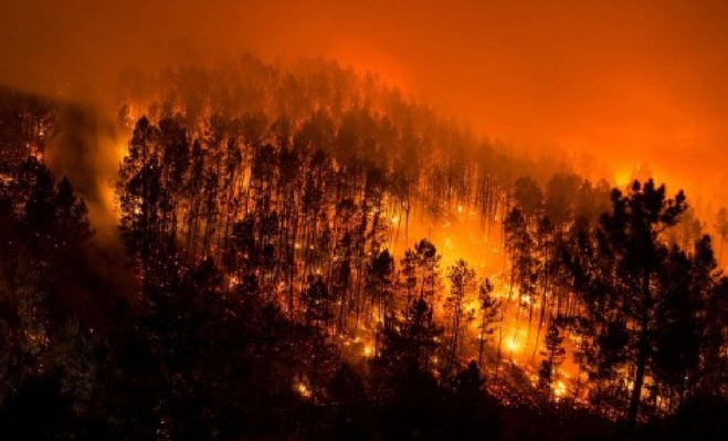 satelitetvmx's tweet photo. #Bolivia decreta "desastre nacional" por incendios forestales
El gobierno de #Bolivia decretó "desastre nacional" por los incendios forestales sin precedentes que afectan sobre todo a Santa Cruz, el departamento más rico y poblado del país. https://t.co/rR0NUWVtx2