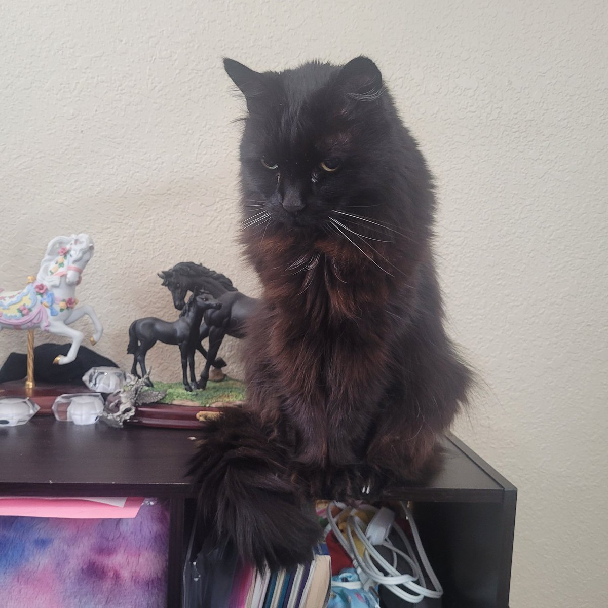 crunch element tweet media