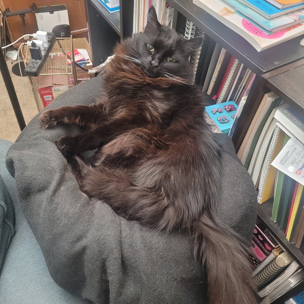 crunch element tweet media